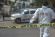 Fiscalías de México iniciaron 2.06 millones de carpetas de investigaciones en 2025