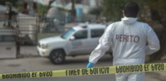 Fiscalías de México iniciaron 2.06 millones de carpetas de investigaciones en 2025