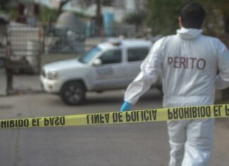 Fiscalías de México iniciaron 2.06 millones de carpetas de investigaciones en 2025