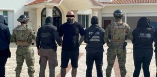 Detienen a Robert Skojo, presunto líder criminal en Cancún