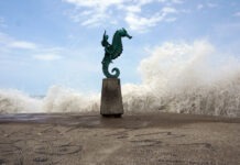 Marina cierra nueve puertos por efectos del huracán Rachel