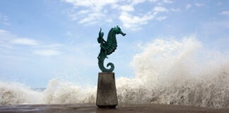 Marina cierra nueve puertos por efectos del huracán Rachel