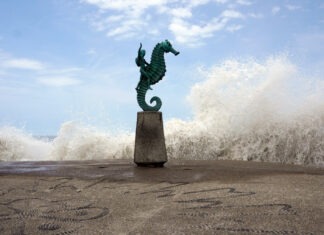 Marina cierra nueve puertos por efectos del huracán Rachel