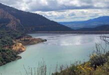Profepa ordena cierre temporal de depósito minero por derrame en el río Súchil